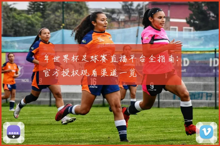 年世界杯足球赛直播平台全指南:官方授权观看渠道一览